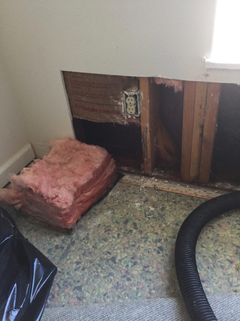lincoln-city-water-damage-10-768x1024